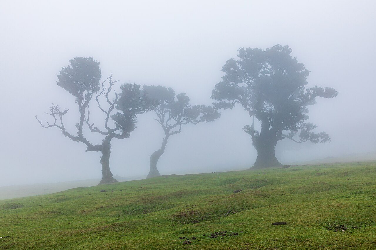 Qué ver en Madeira