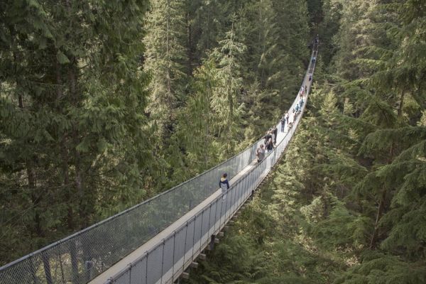 El puente colgante de Capilano, una de las excursiones estrella cerca de Vancouver