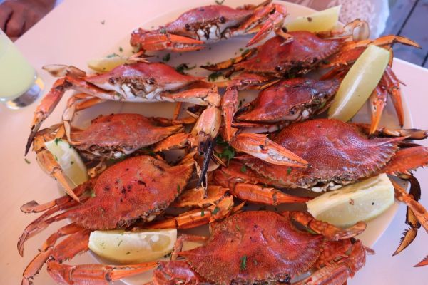 La gastronomía tradicional es parte esencial de la experiencia de qué ver y probar en Braga
