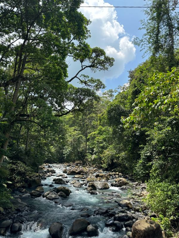 El Río Celeste, una de las mejores excursiones cercanas para ver en Arenal