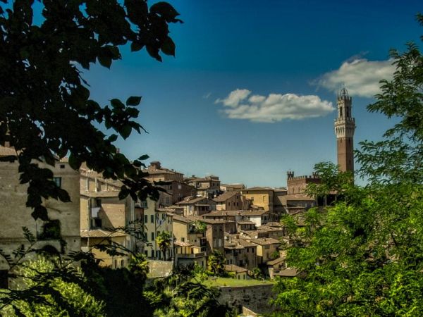 Vista panorámica de Siena, punto de partida para decidir qué ver en la ciudad