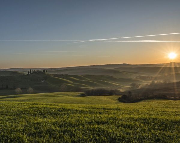 Los viñedos del Chianti, una de las mejores excursiones cercanas a Siena