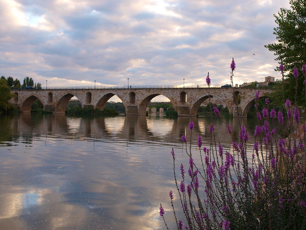 Vista panorámica de Zamora a orillas del río Duero