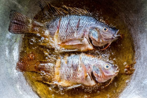 Pescaíto frito y marisco, lo mejor de dónde comer en El Puerto de Santa María