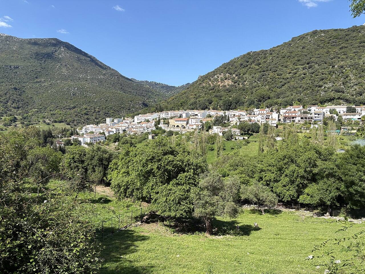 Pueblos blancos, uno de los grandes atractivos que ver en Andalucía