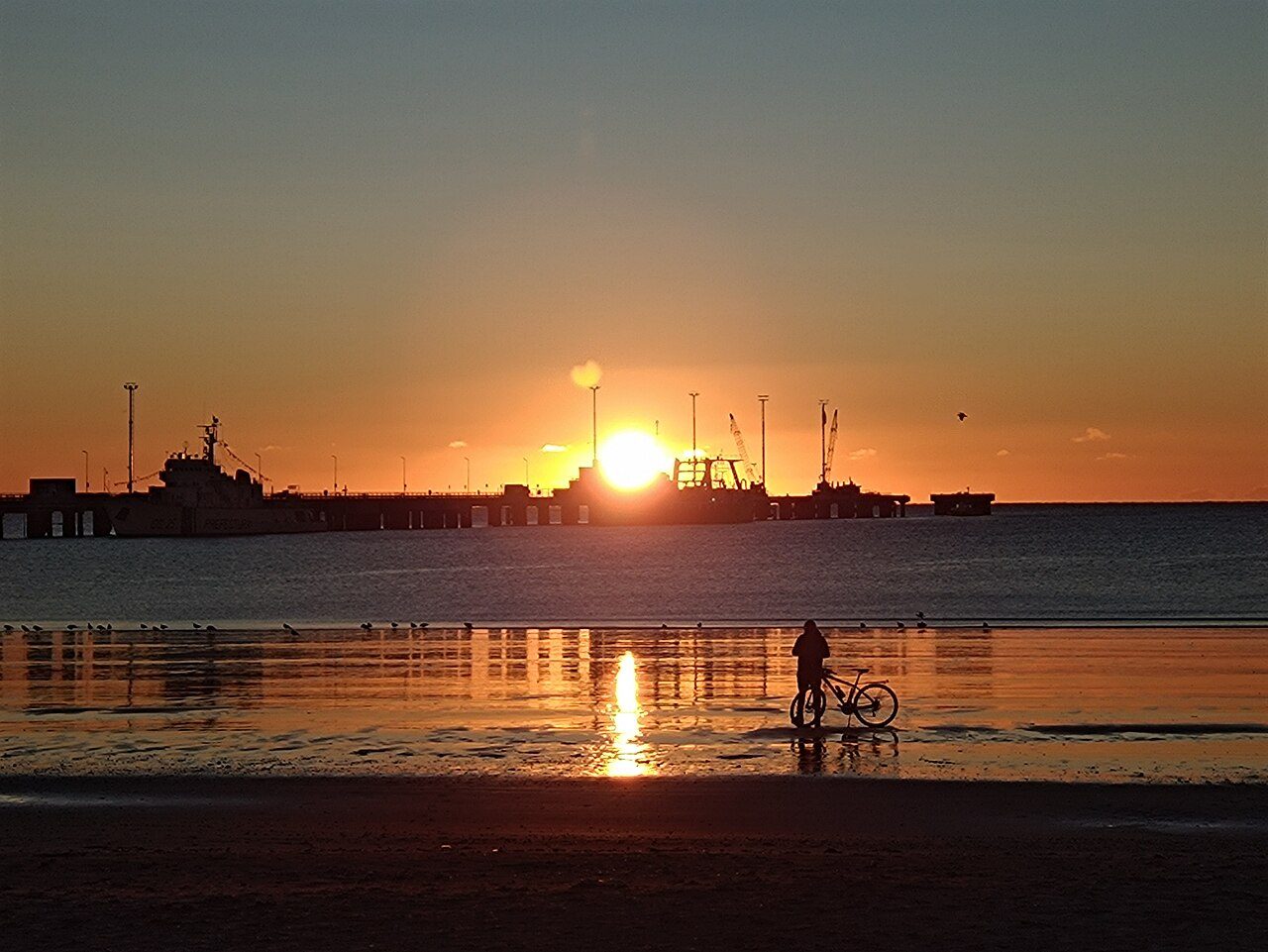 Qué ver en Puerto Madryn
