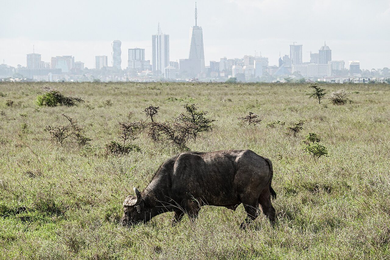 Qué ver en Nairobi