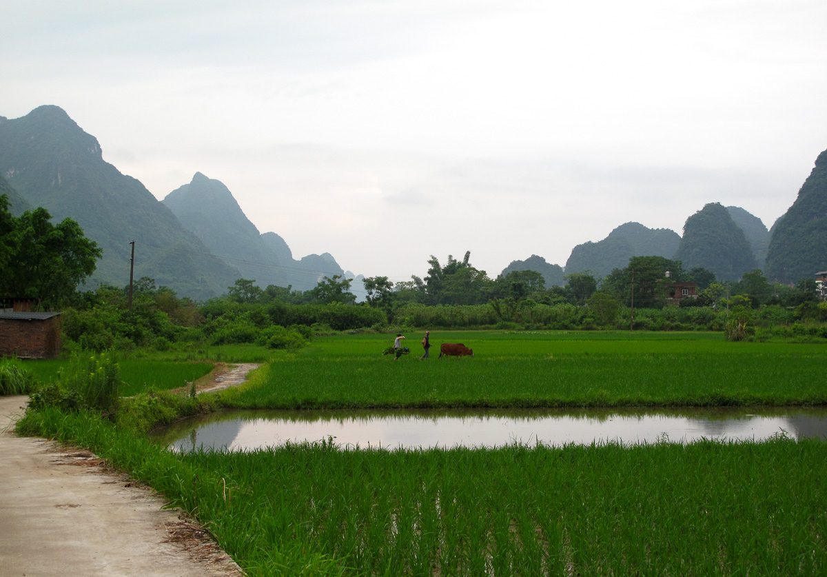 Crucero por el río Li entre Guilin y Yangshuo, la excursión imprescindible de la zona