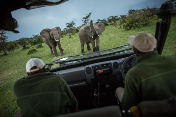 Safari en la sabana, la excursión estrella desde Nairobi