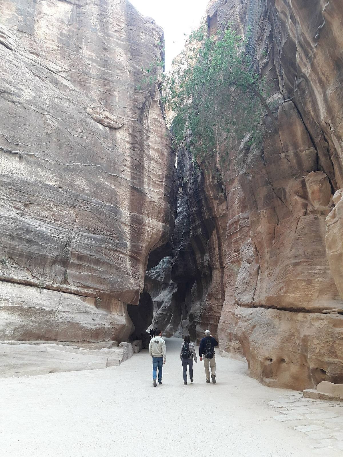 Panorámica de Petra, la ciudad rosada que ver en Jordania