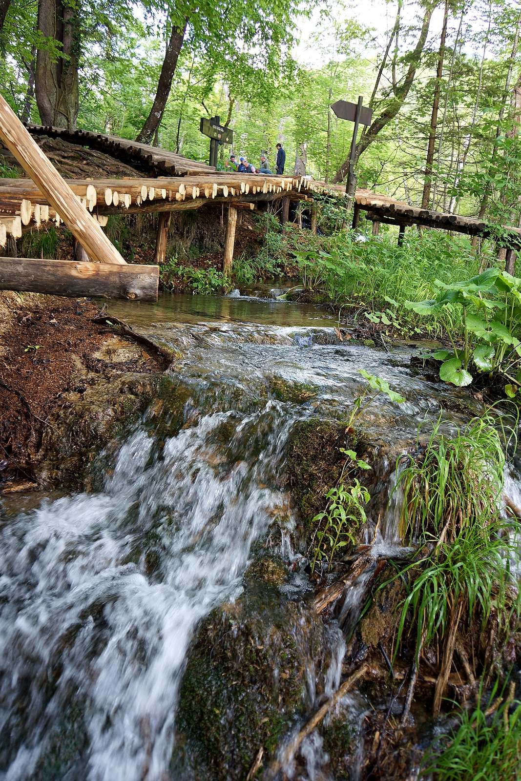 Las pasarelas de madera te llevan entre los lagos y cascadas de Plitvice