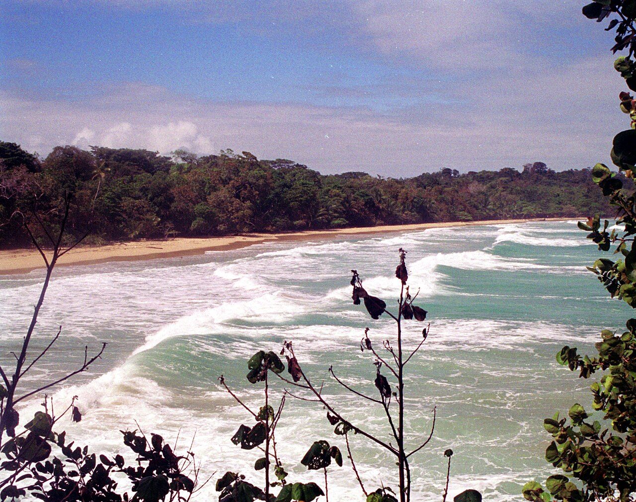 Red Frog Beach, una de las playas más famosas que ver en Bocas del Toro