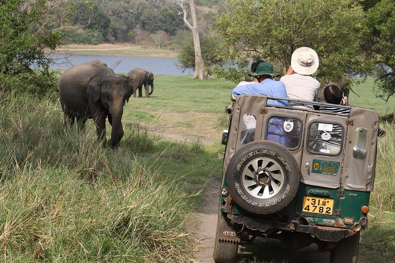 Los safaris cercanos son una de las mejores excursiones desde Kandy