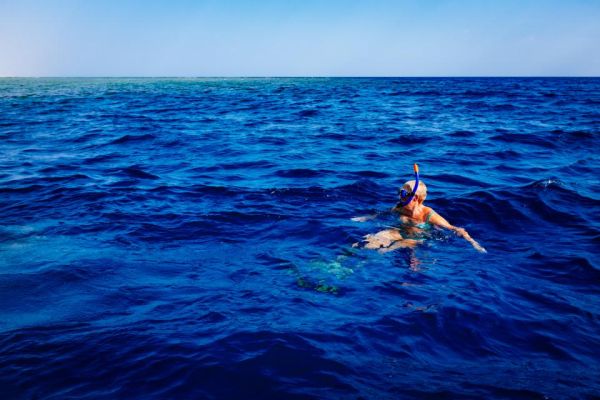 Snorkel con tortugas en los arrecifes cercanos a Maafushi