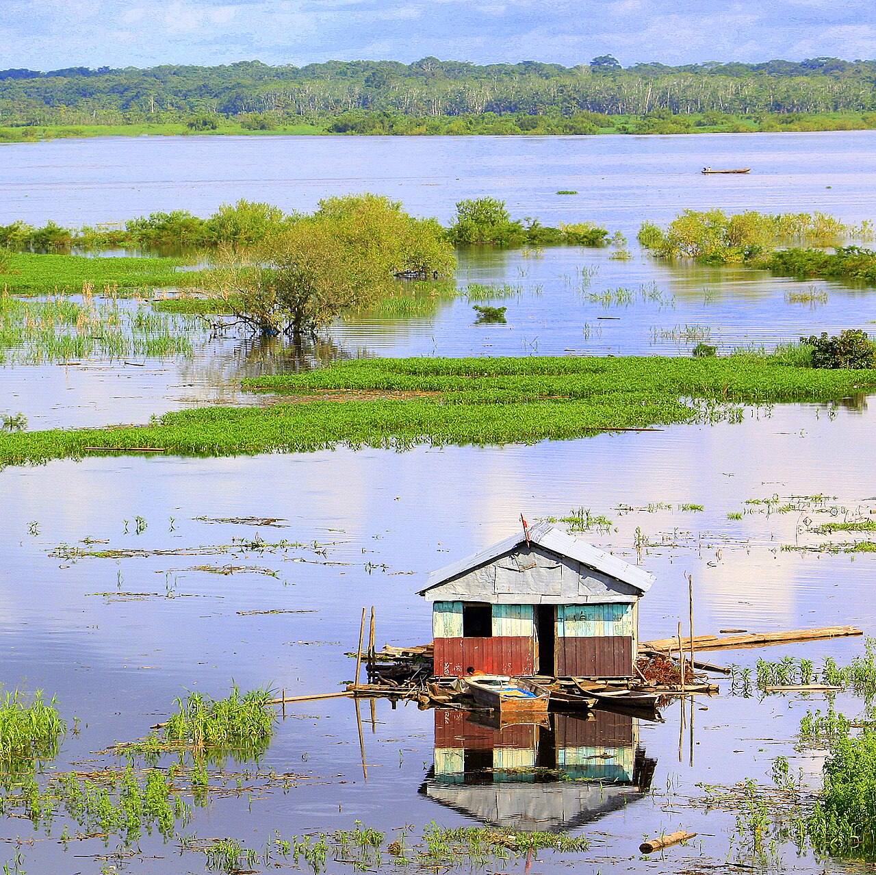 Excursiones de un día en Iquitos navegando por el río Amazonas