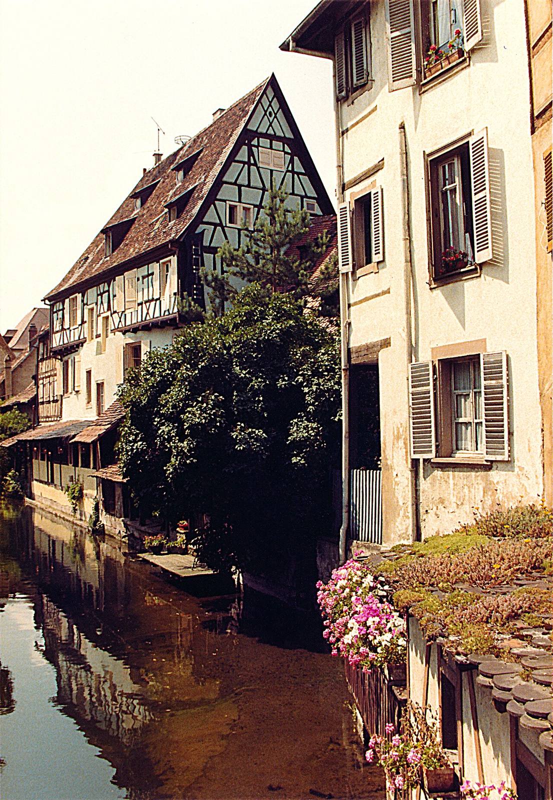 Colmar y los pueblos de la Ruta del Vino, la excursión más popular desde Estrasburgo
