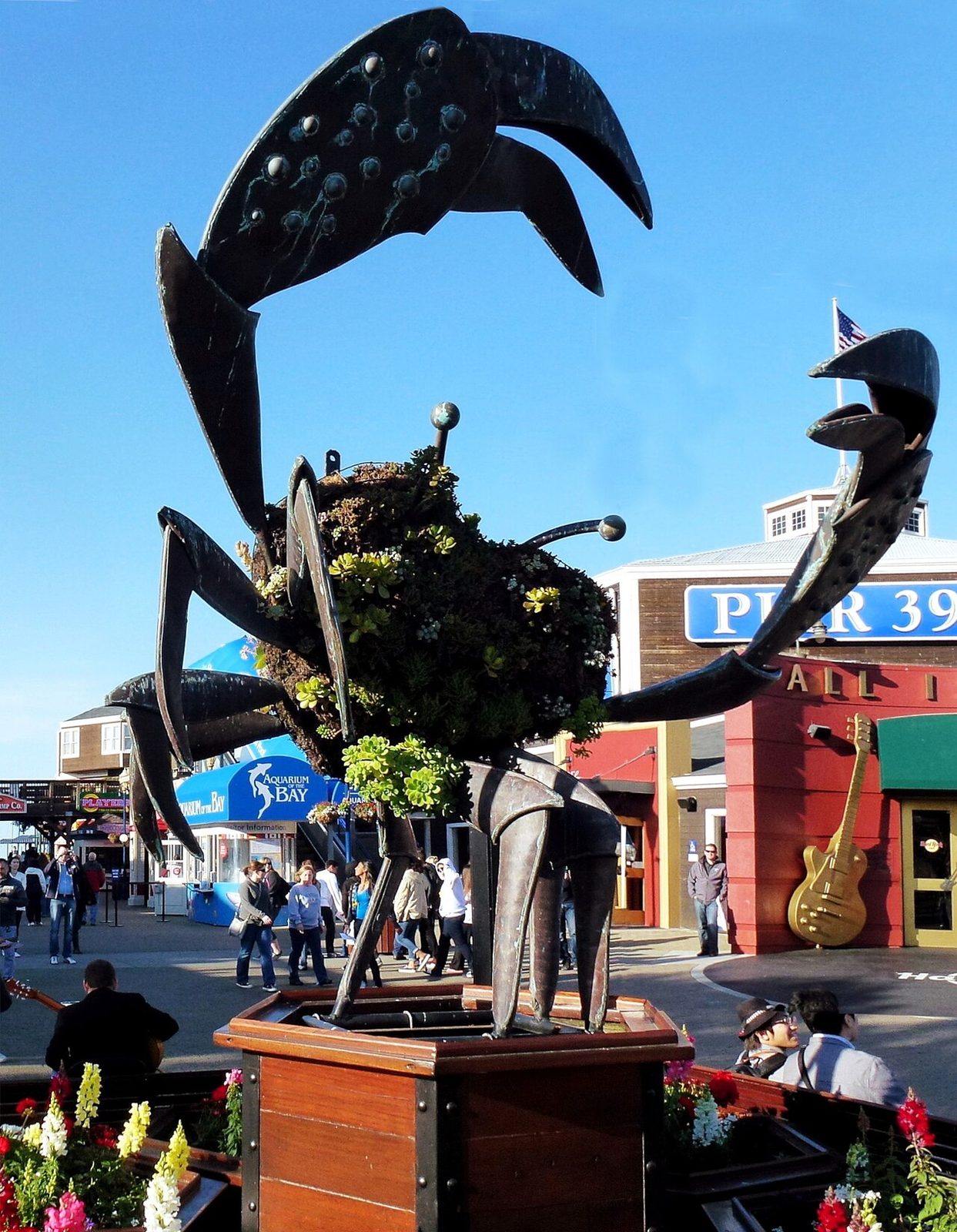 Pier 39 y el muelle de pescadores, parada obligada de qué ver en San Francisco