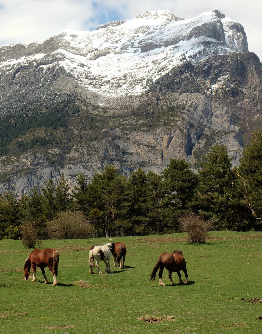 Paisajes de montaña, uno de los grandes atractivos de qué ver en Aragón