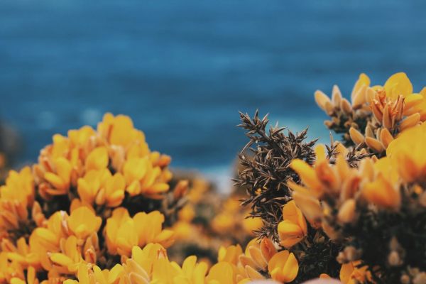 Las rías gallegas, una de las postales imprescindibles que ver en Galicia
