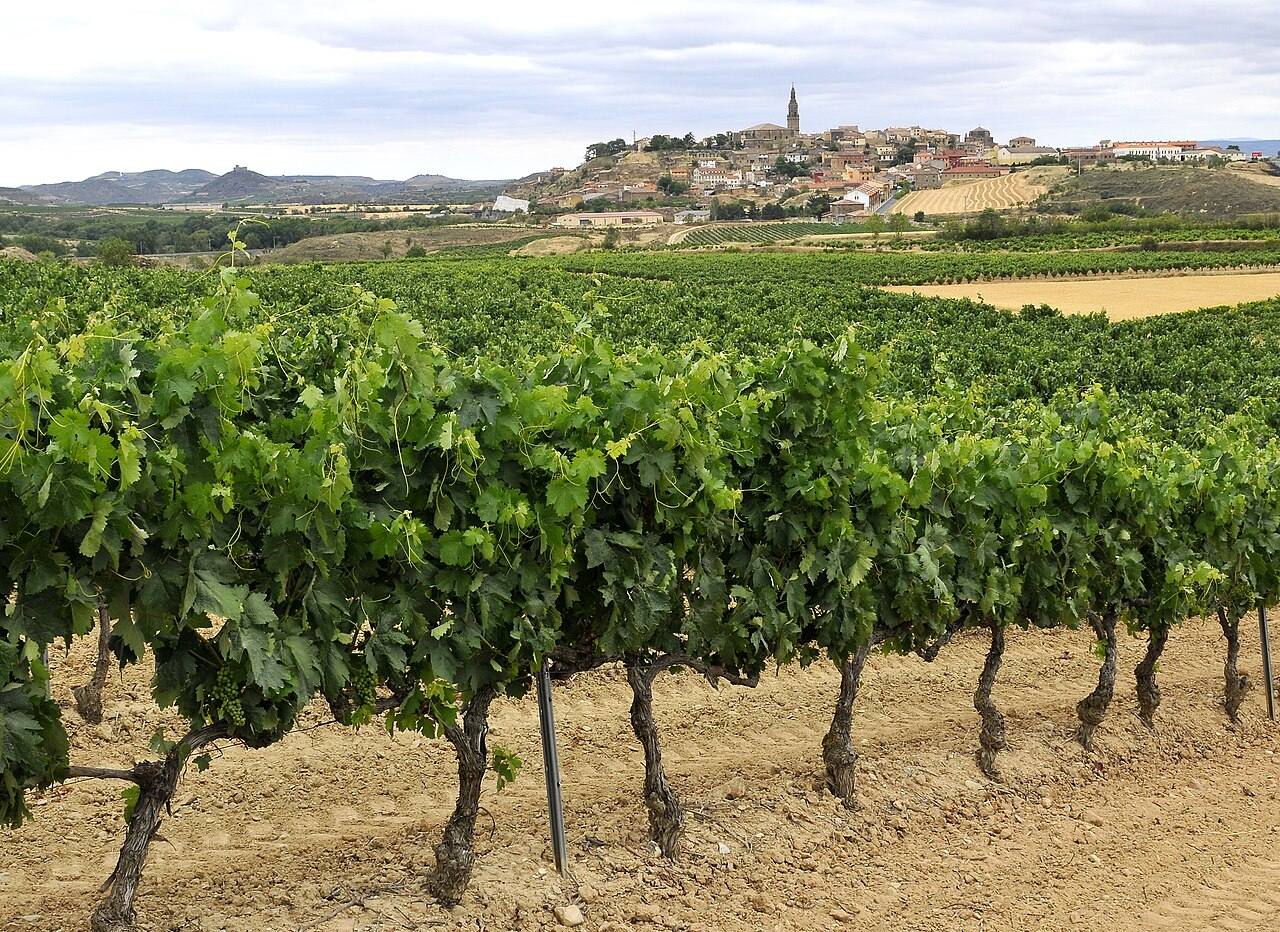 Briones, pueblo entre viñedos que ver en La Rioja