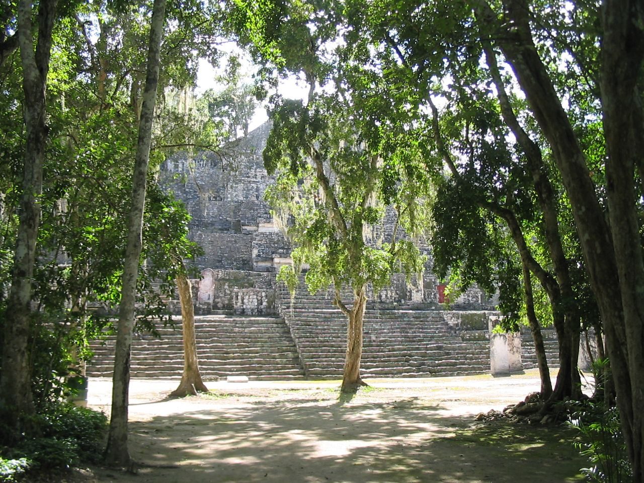 Excursiones de un día en San Francisco de Campeche: las pirámides de Calakmul entre la selva