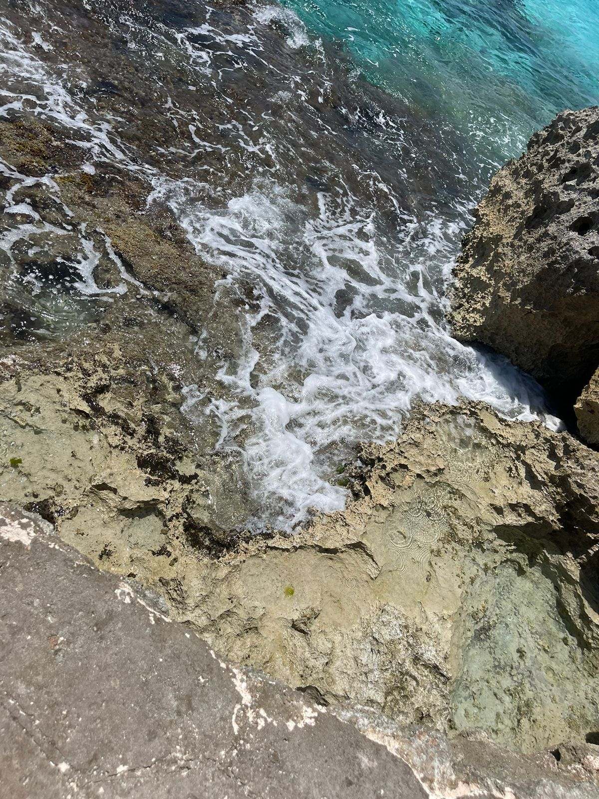 Recorriendo la costa en uno de los tours y visitas guiadas en Cozumel.