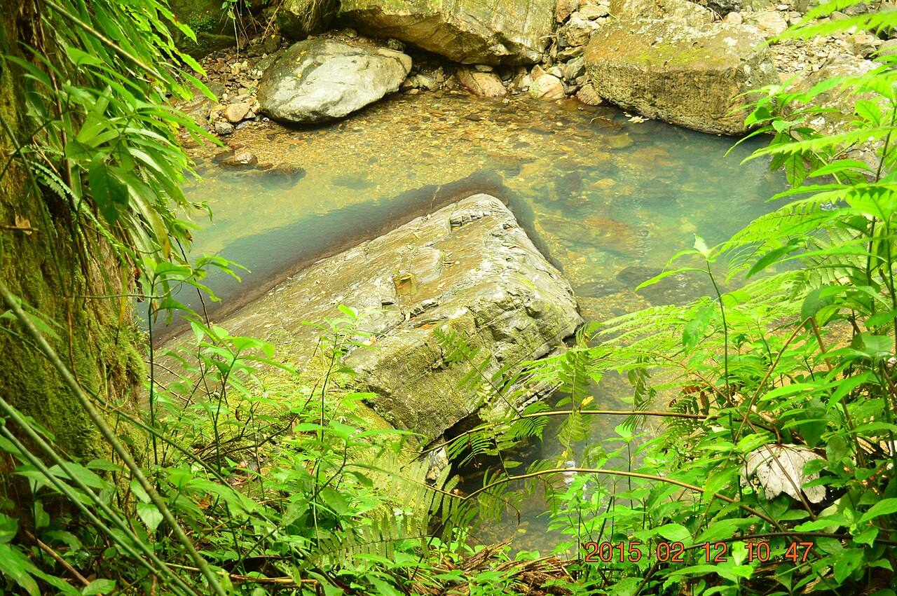 El Yunque, excursión imprescindible desde Fajardo