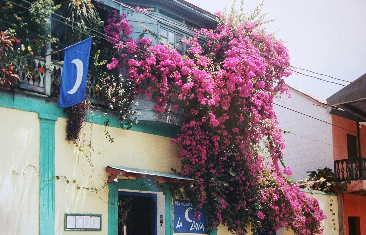 Callejeando entre casas coloniales de colores en Flores, Guatemala