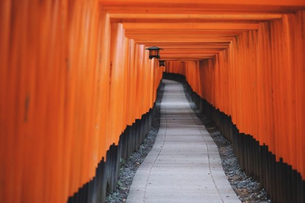 Visita guiada en Kioto por los toriis de Fushimi Inari Taisha