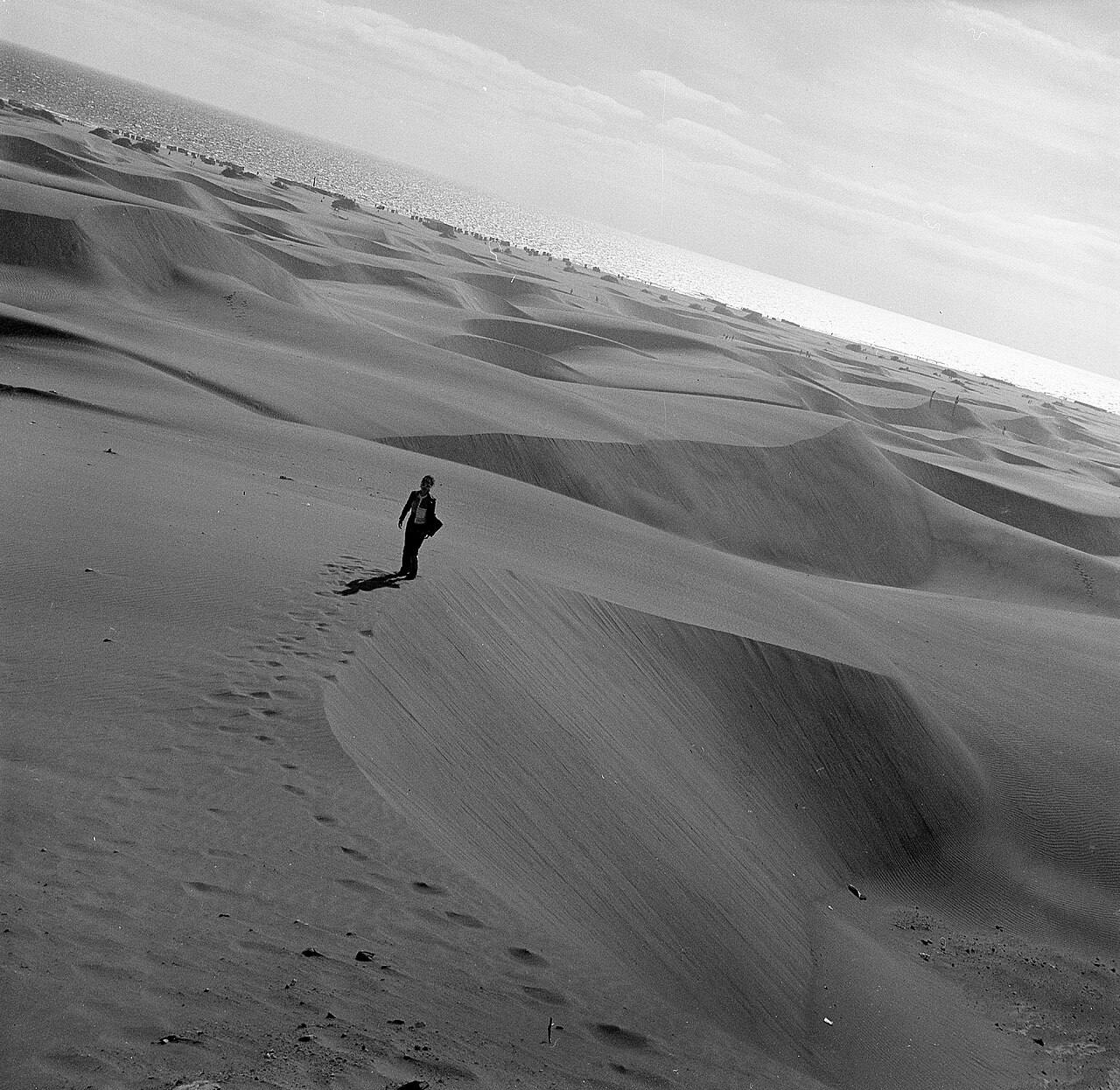 Las Dunas de Maspalomas, un desierto junto al mar que ver en Gran Canaria