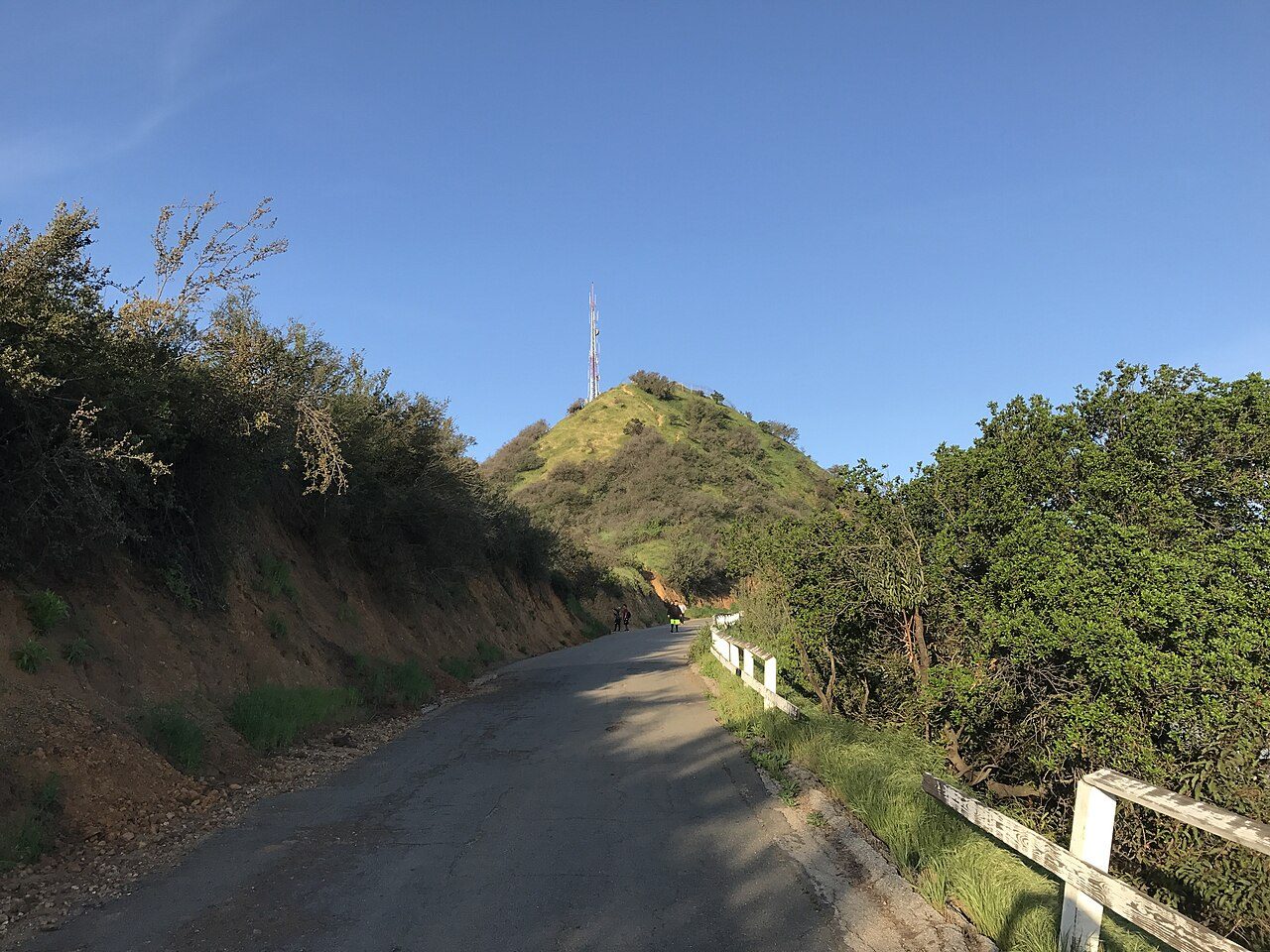 Naturaleza y aventura en Los Angeles: senderismo con vistas al cartel de Hollywood.