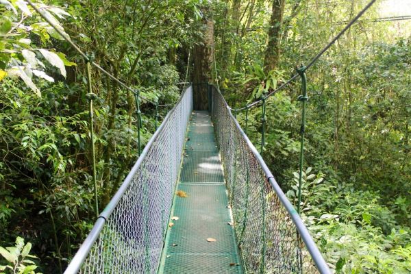 La carretera de niebla hacia el bosque nuboso de Monteverde