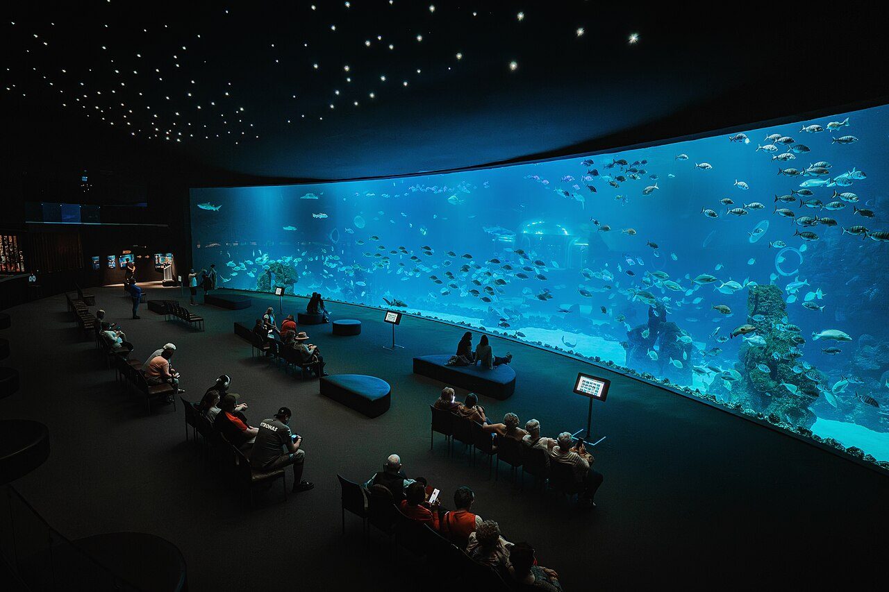 El acuario Poema del Mar, uno de los planes favoritos en Las Palmas de Gran Canaria