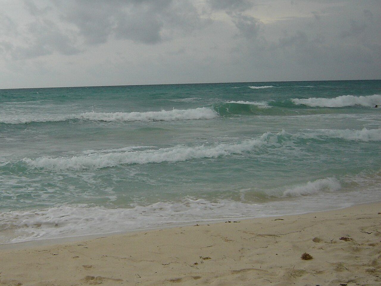 Tours y visitas guiadas en Playa del Carmen, entre playas caribeñas y cultura maya
