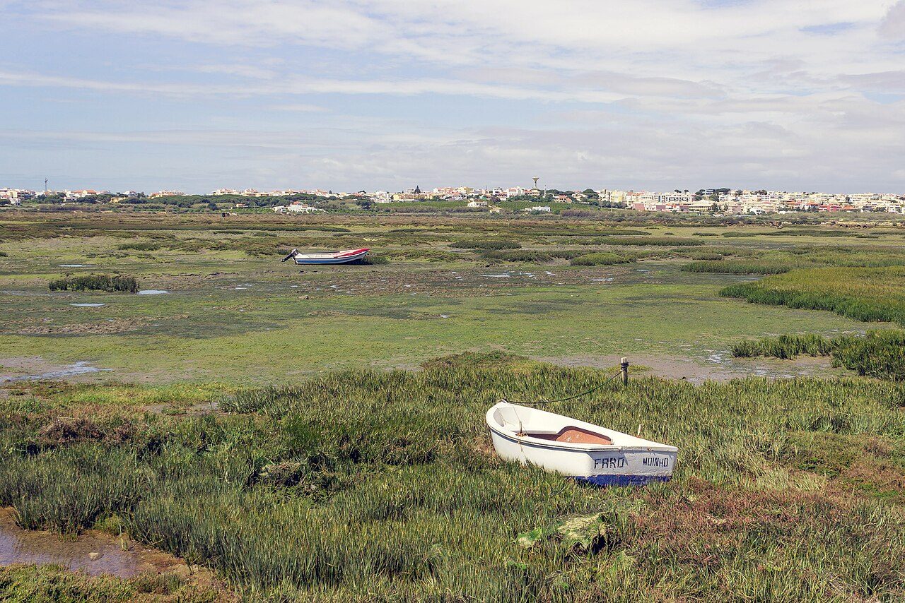 Cruceros y barcos en Faro navegando entre los canales de la Ría Formosa