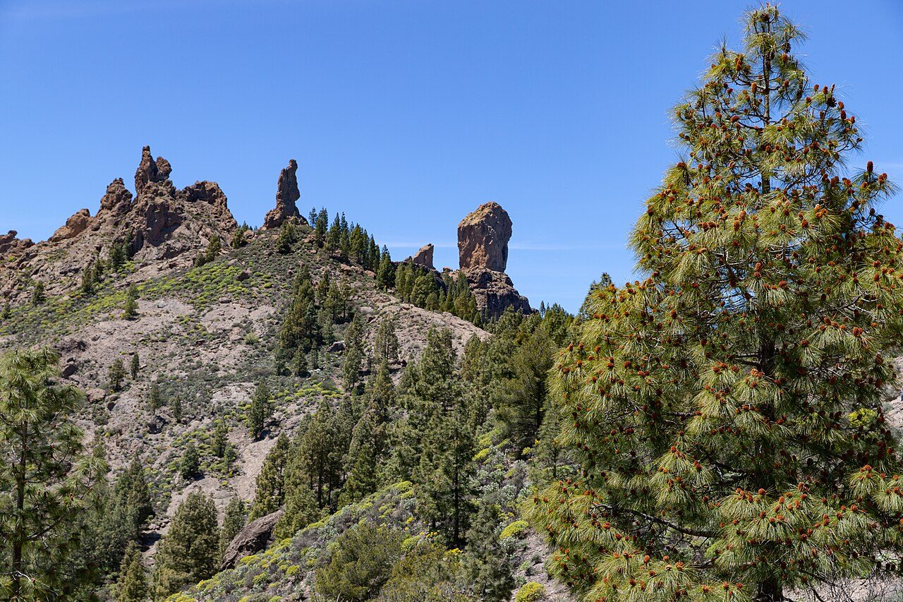 Paisaje volcánico del interior, protagonista de muchos tours y visitas guiadas en Gran Canaria.