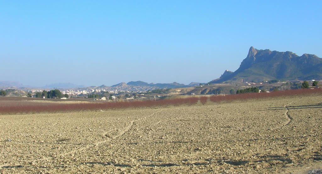 Qué ver en Cieza