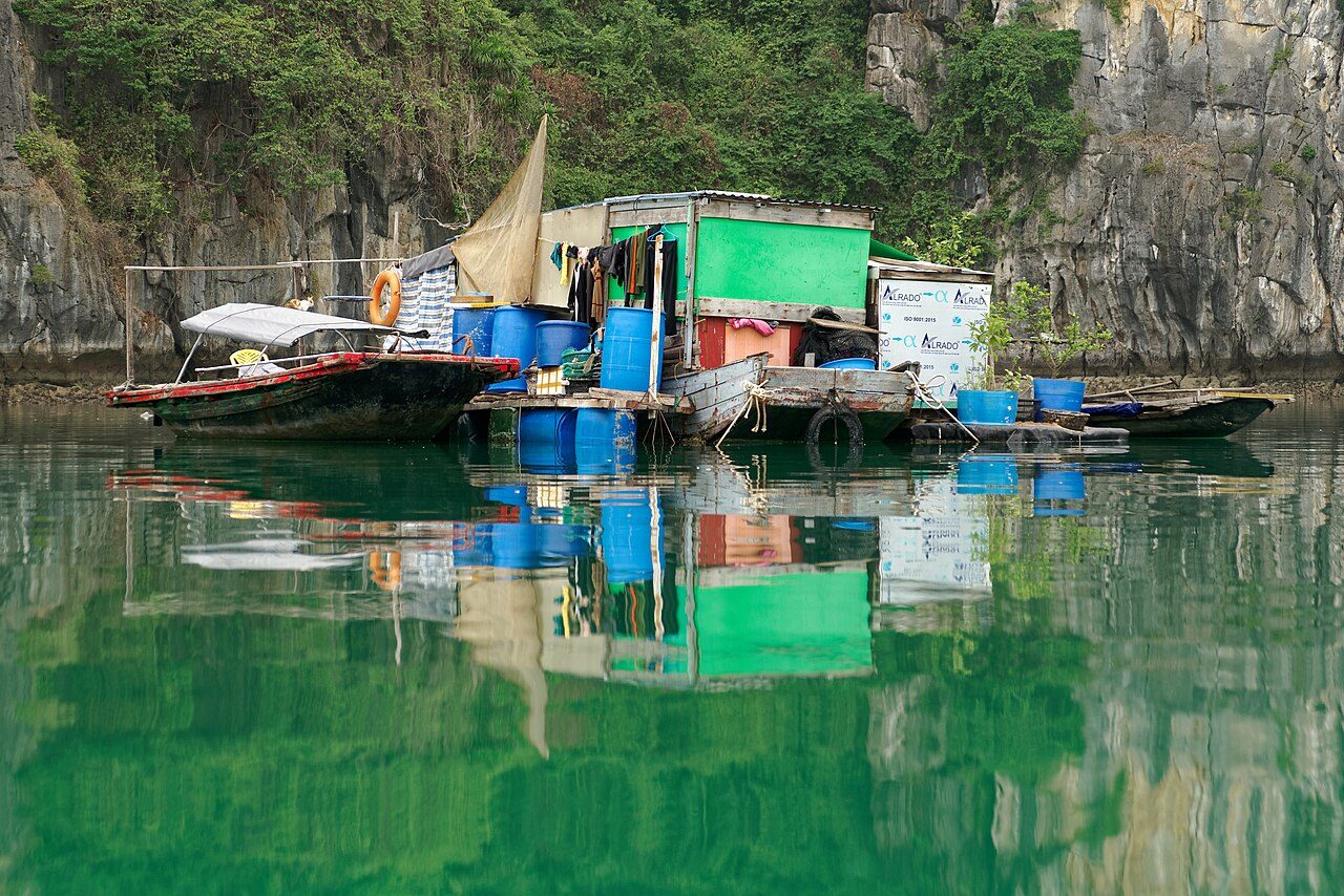 Aldea pesquera flotante en las bahías cercanas a Cat Ba