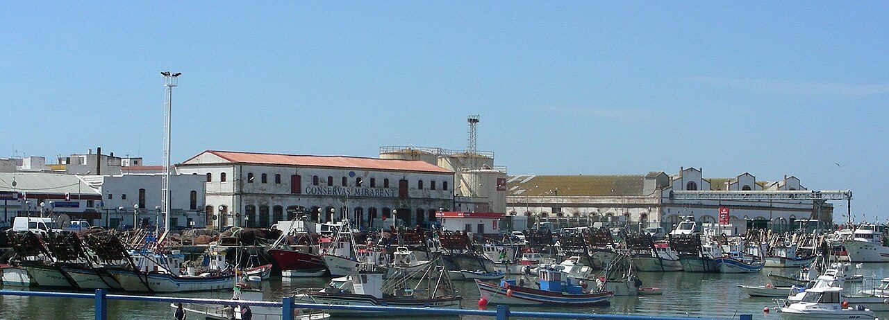 Visitas guiadas en Isla Cristina: la lonja y el puerto pesquero marcan el ritmo del pueblo.