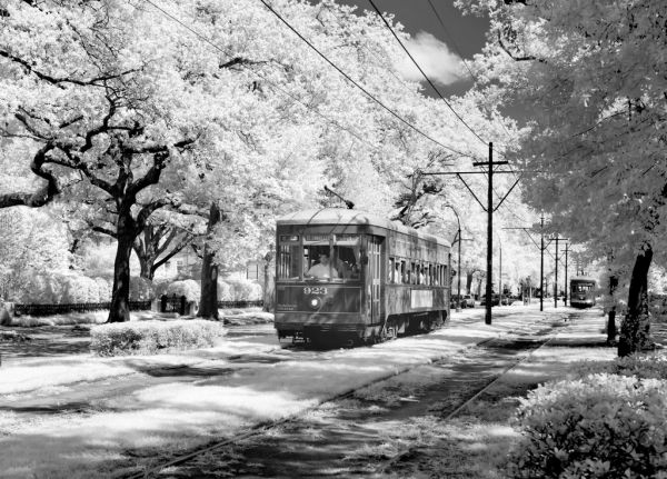 El tranvía de St. Charles Avenue, otra forma clásica de ver Nueva Orleans