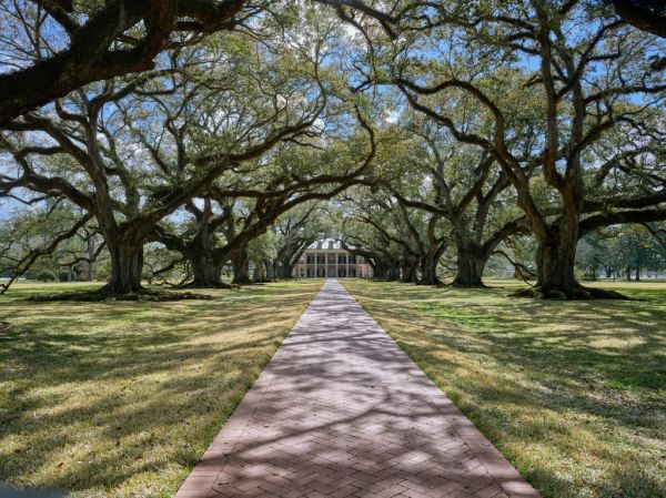 El túnel de robles de Oak Alley, la excursión más fotogénica cerca de Nueva Orleans