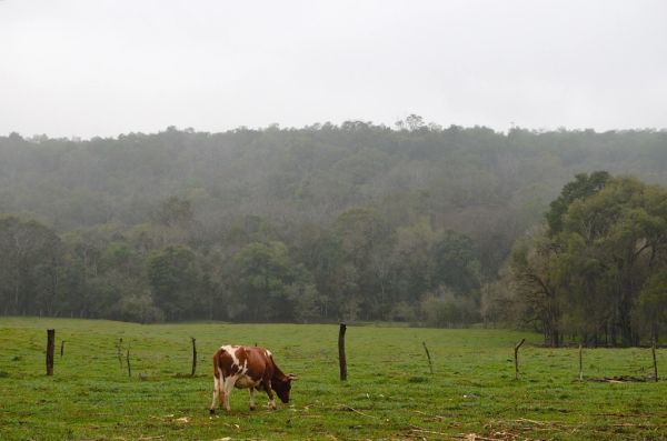 Panorámica de Pasto, la Ciudad Sorpresa, rodeada por los Andes de Nariño