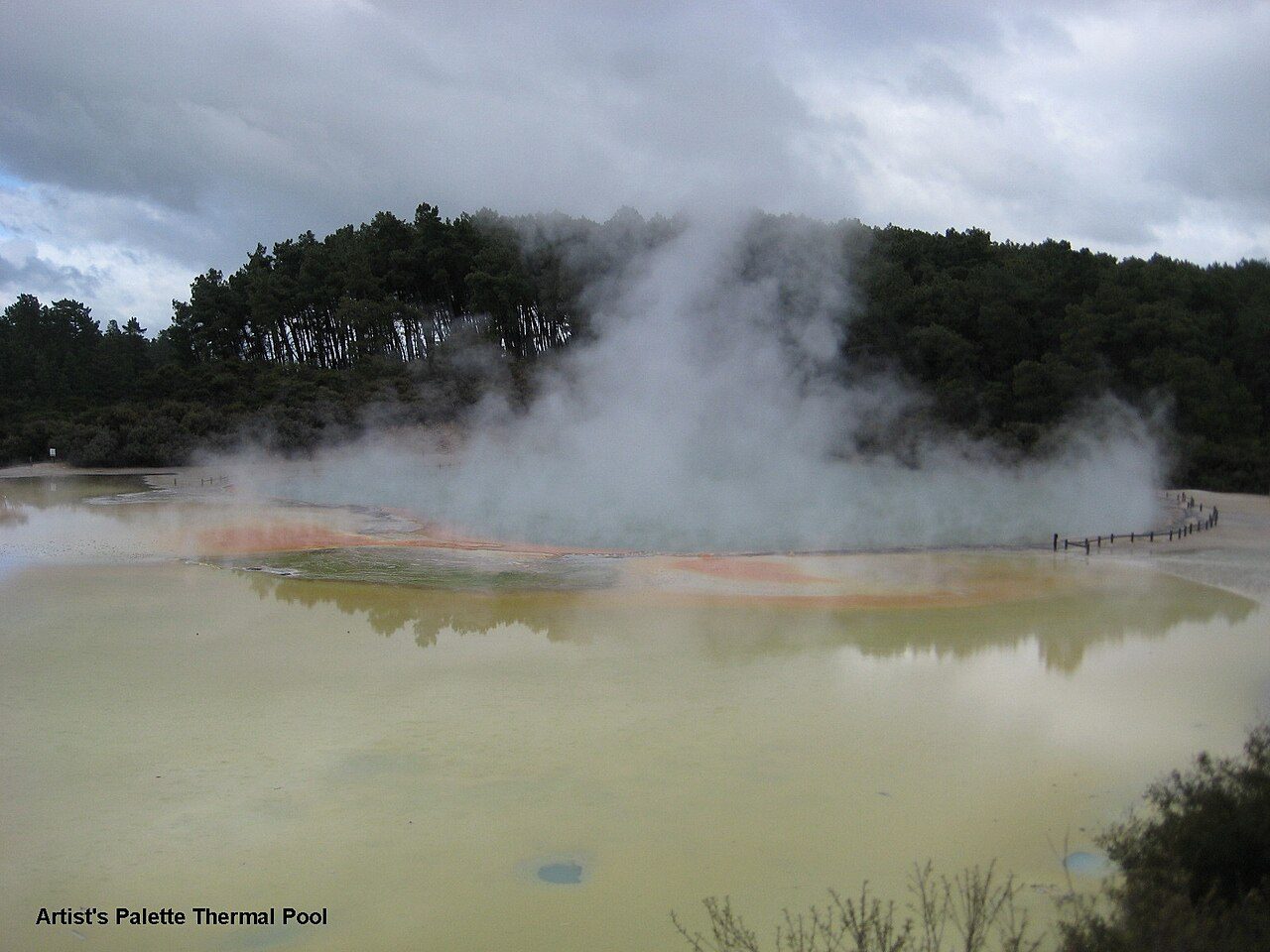 Paisaje geotermal de Rotorua, uno de los grandes imprescindibles que ver en Rotorua
