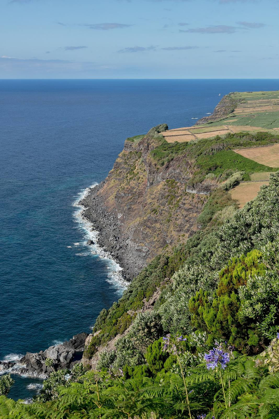 Naturaleza y aventura en Terceira: costa volcánica y aguas atlánticas ideales para el avistamiento de ballenas.