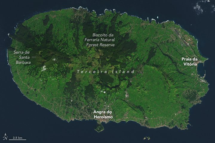 Naturaleza y aventura en Terceira: costa volcánica y aguas atlánticas ideales para el avistamiento de ballenas.