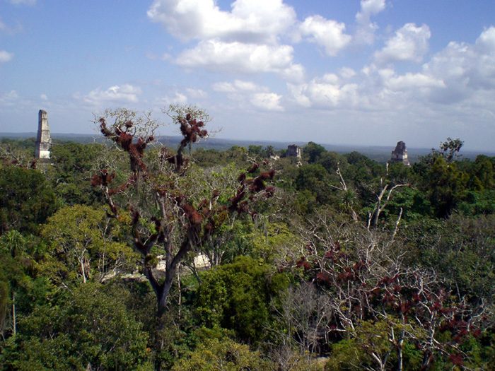 Los templos mayas de Tikal, la excursión estrella desde Flores, Guatemala