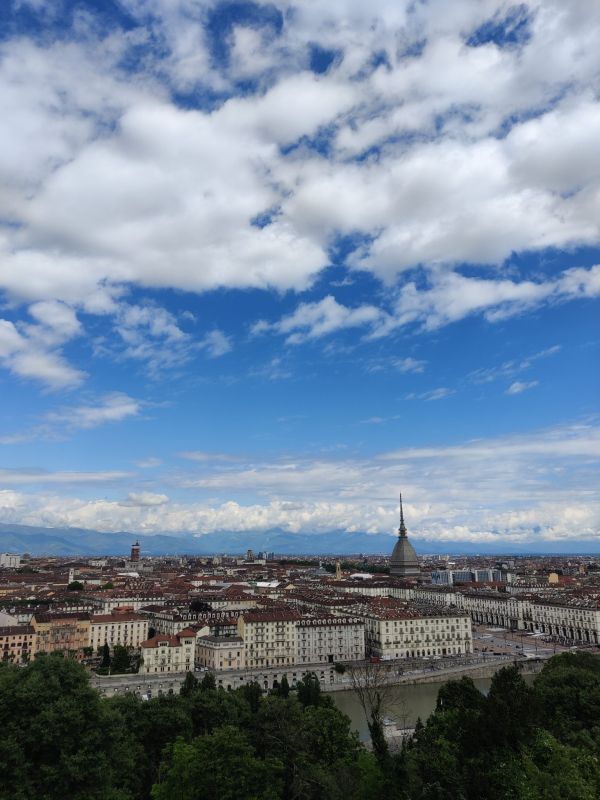 Tours y visitas guiadas en Turín: la Mole Antonelliana preside el skyline de la ciudad.
