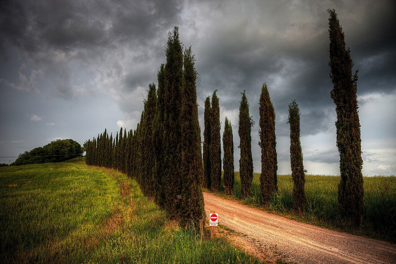 Los cipreses de la Val d'Orcia, el paisaje que rodea Montepulciano