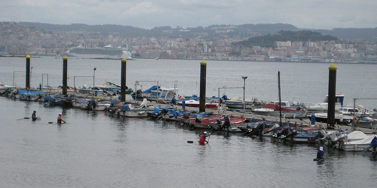 Tours y visitas guiadas en Vigo por su puerto pesquero y la ría