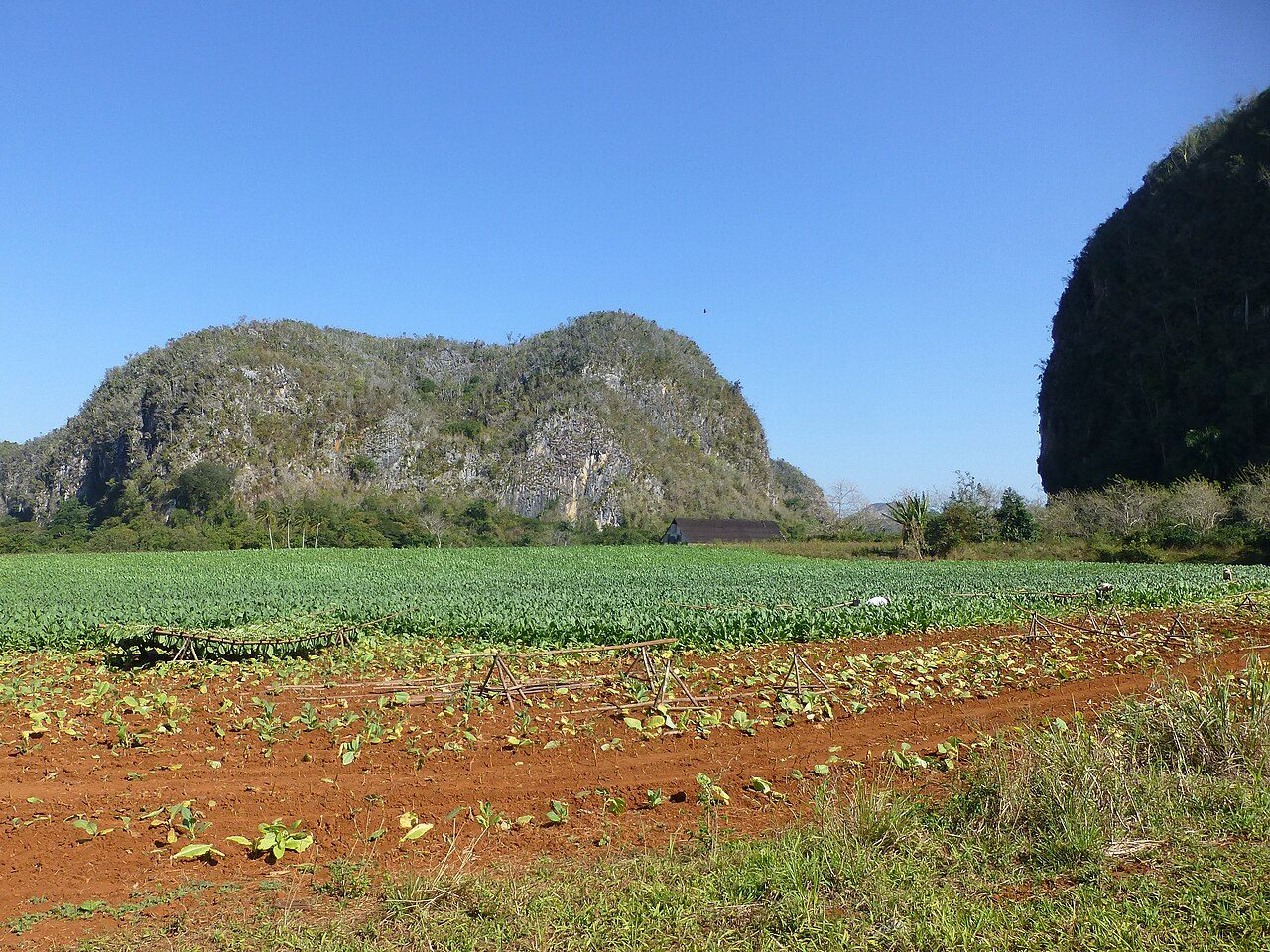 Excursiones de un día en Viñales entre mogotes y plantaciones de tabaco